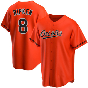 Youth Baltimore Orioles Cal Ripken Replica Orange Alternate Jersey